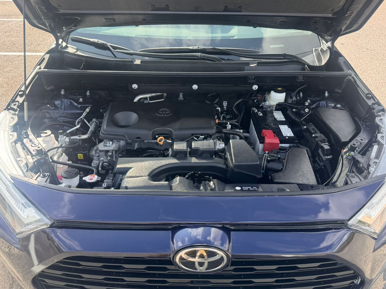 
								2024 TOYOTA RAV4 XLE full									